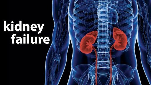 how-to-prevent-kidney-failure-neo-reserches